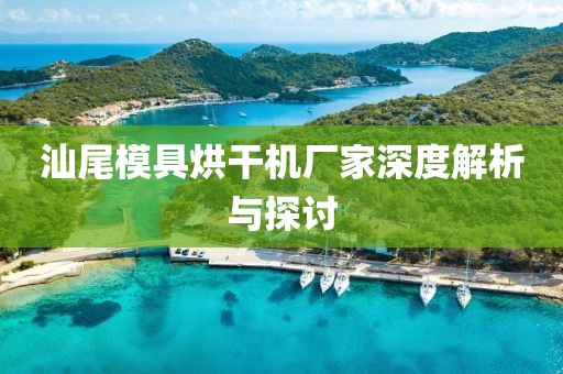 汕尾模具烘干机厂家深度解析与探讨