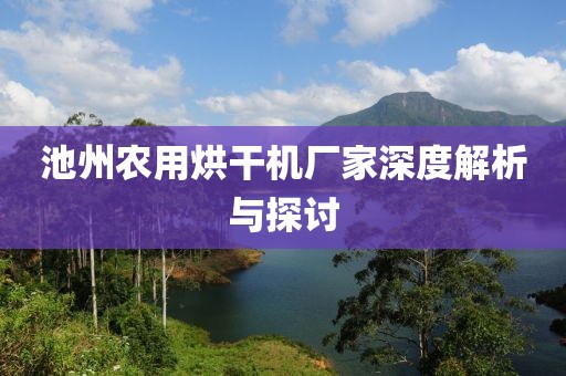 池州农用烘干机厂家深度解析与探讨