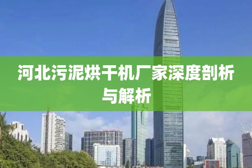 河北污泥烘干机厂家深度剖析与解析