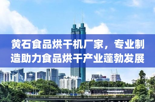 黄石食品烘干机厂家，专业制造助力食品烘干产业蓬勃发展