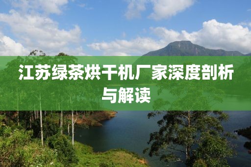 江苏绿茶烘干机厂家深度剖析与解读