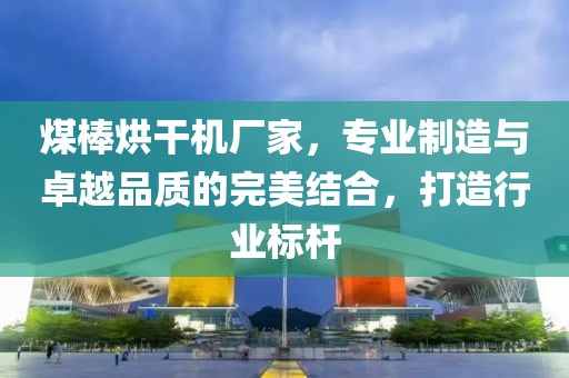 煤棒烘干机厂家，专业制造与卓越品质的完美结合，打造行业标杆