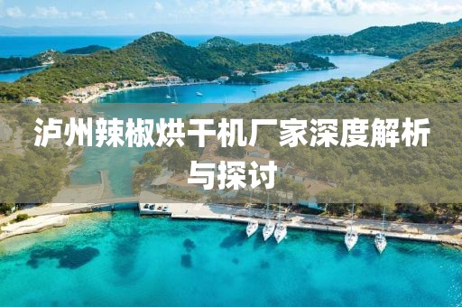 泸州辣椒烘干机厂家深度解析与探讨