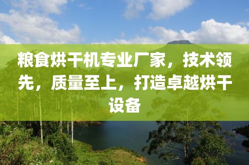 粮食烘干机专业厂家，技术领先，质量至上，打造卓越烘干设备