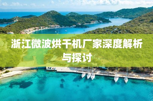 浙江微波烘干机厂家深度解析与探讨