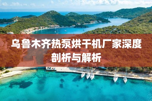 乌鲁木齐热泵烘干机厂家深度剖析与解析