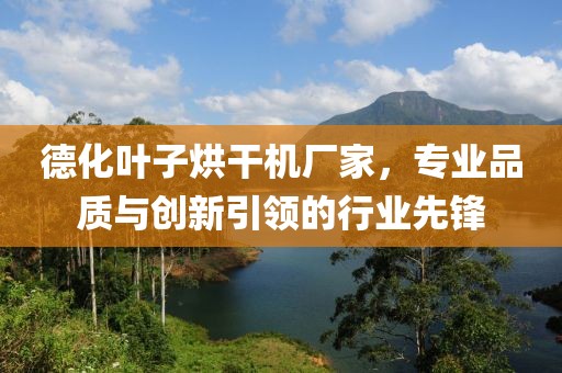 德化叶子烘干机厂家，专业品质与创新引领的行业先锋