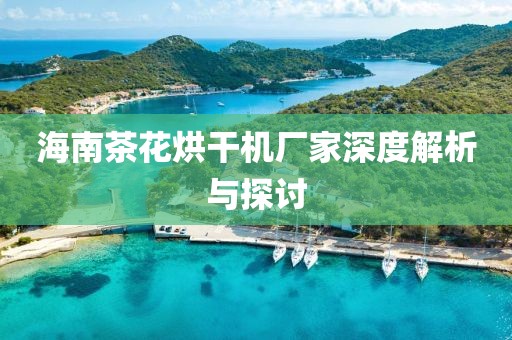 海南茶花烘干机厂家深度解析与探讨