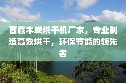 西藏木炭烘干机厂家，专业制造高效烘干，环保节能的领先者