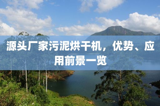 源头厂家污泥烘干机，优势、应用前景一览