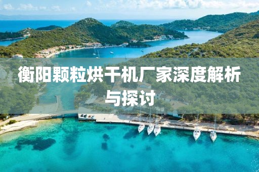 衡阳颗粒烘干机厂家深度解析与探讨