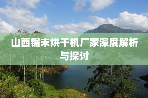 山西锯末烘干机厂家深度解析与探讨