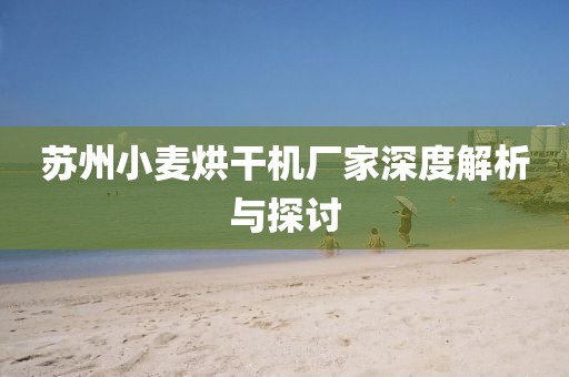 苏州小麦烘干机厂家深度解析与探讨