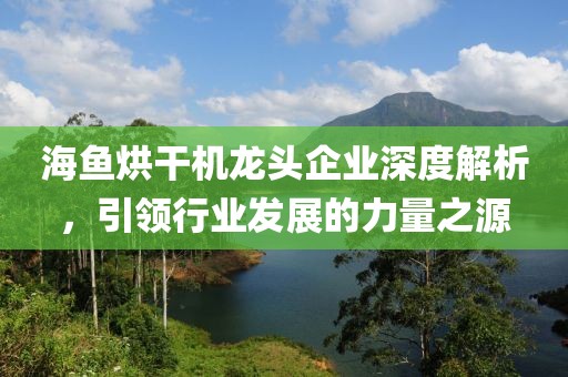 海鱼烘干机龙头企业深度解析，引领行业发展的力量之源