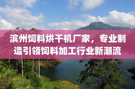 滨州饲料烘干机厂家，专业制造引领饲料加工行业新潮流