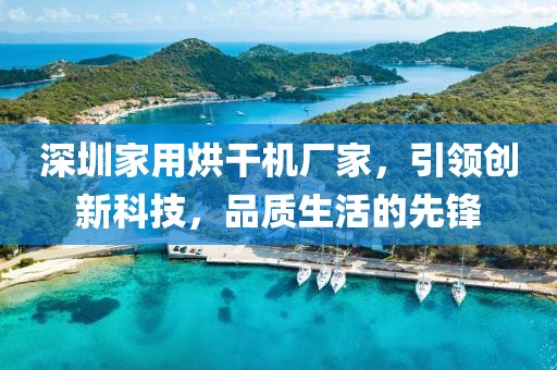 深圳家用烘干机厂家，引领创新科技，品质生活的先锋