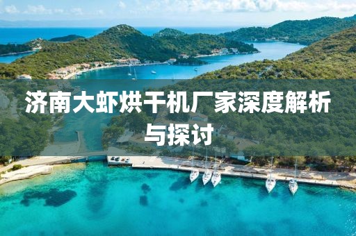 济南大虾烘干机厂家深度解析与探讨