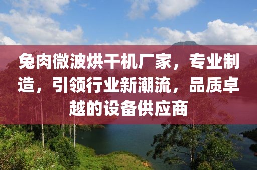 兔肉微波烘干机厂家，专业制造，引领行业新潮流，品质卓越的设备供应商