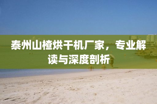 泰州山楂烘干机厂家，专业解读与深度剖析