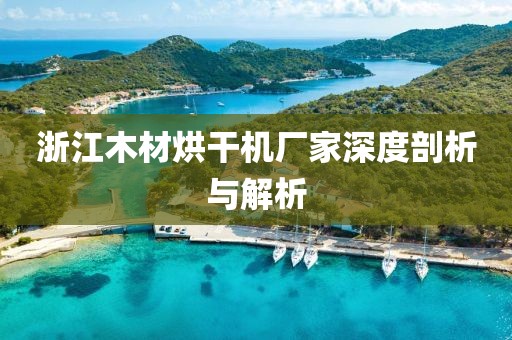 浙江木材烘干机厂家深度剖析与解析