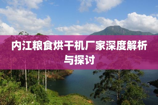 内江粮食烘干机厂家深度解析与探讨