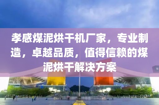 孝感煤泥烘干机厂家，专业制造，卓越品质，值得信赖的煤泥烘干解决方案