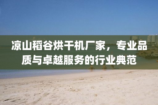 凉山稻谷烘干机厂家，专业品质与卓越服务的行业典范