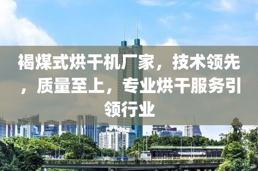 褐煤式烘干机厂家，技术领先，质量至上，专业烘干服务引领行业