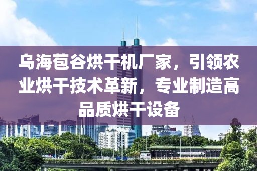 乌海苞谷烘干机厂家，引领农业烘干技术革新，专业制造高品质烘干设备