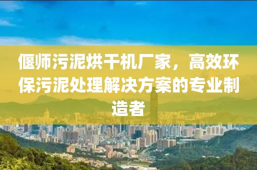 偃师污泥烘干机厂家，高效环保污泥处理解决方案的专业制造者