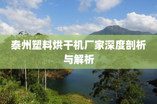 泰州塑料烘干机厂家深度剖析与解析