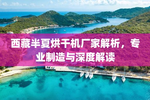 西藏半夏烘干机厂家解析，专业制造与深度解读