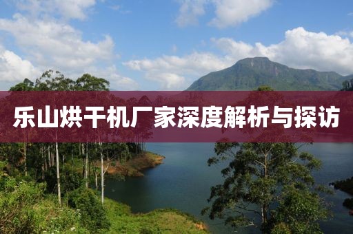 乐山烘干机厂家深度解析与探访