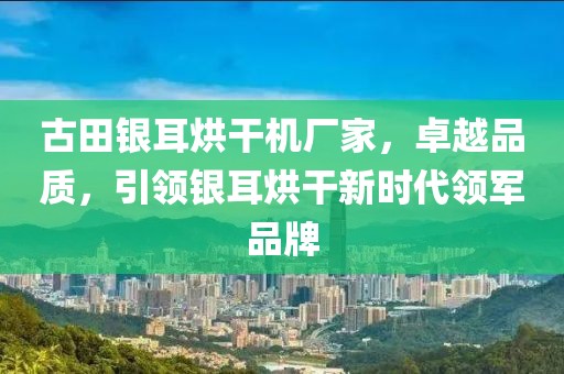 古田银耳烘干机厂家，卓越品质，引领银耳烘干新时代领军品牌