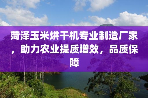 菏泽玉米烘干机专业制造厂家，助力农业提质增效，品质保障