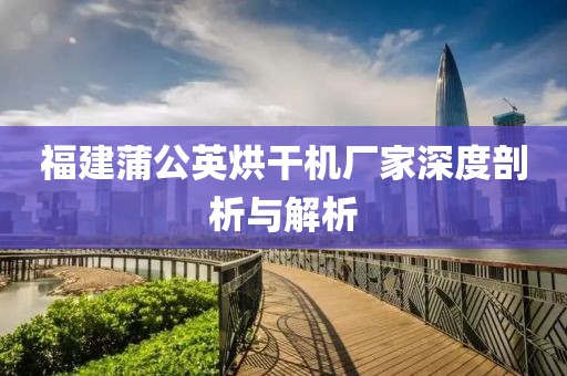 福建蒲公英烘干机厂家深度剖析与解析