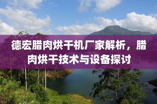 德宏腊肉烘干机厂家解析，腊肉烘干技术与设备探讨