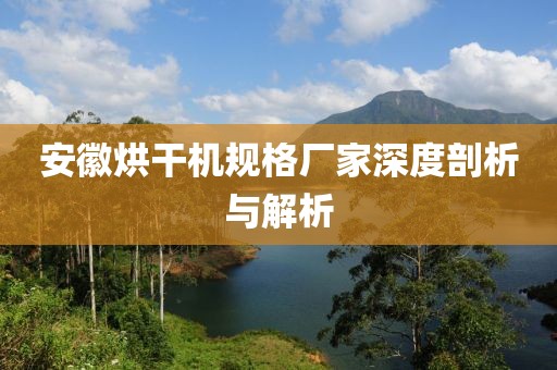 安徽烘干机规格厂家深度剖析与解析