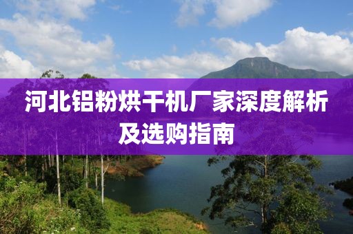 河北铝粉烘干机厂家深度解析及选购指南