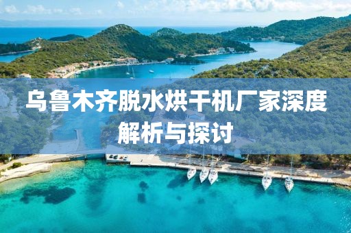 乌鲁木齐脱水烘干机厂家深度解析与探讨