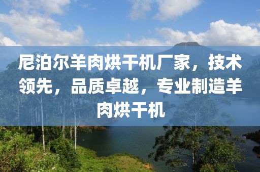 尼泊尔羊肉烘干机厂家，技术领先，品质卓越，专业制造羊肉烘干机