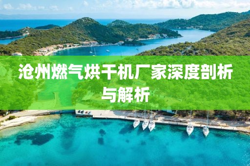 沧州燃气烘干机厂家深度剖析与解析