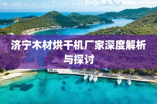 济宁木材烘干机厂家深度解析与探讨