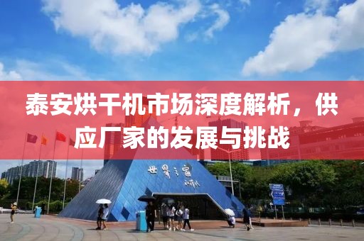 泰安烘干机市场深度解析，供应厂家的发展与挑战