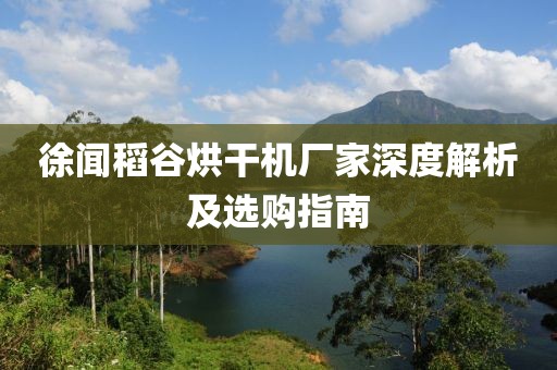 徐闻稻谷烘干机厂家深度解析及选购指南