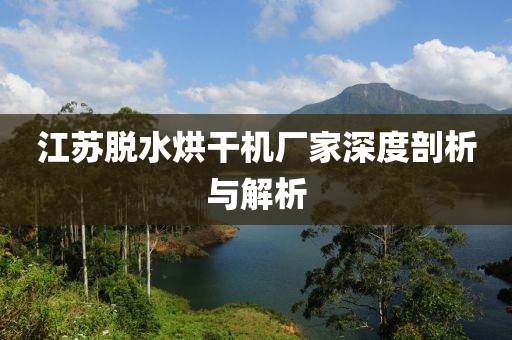 江苏脱水烘干机厂家深度剖析与解析