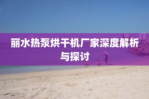 丽水热泵烘干机厂家深度解析与探讨