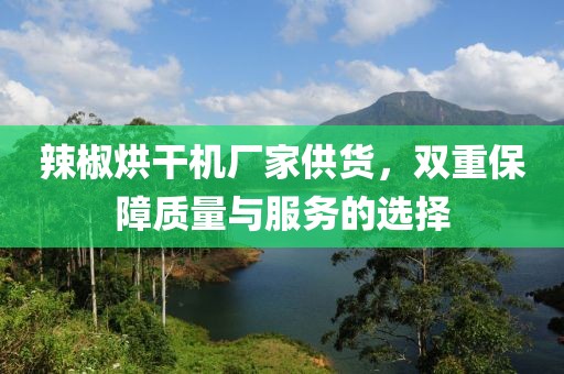 辣椒烘干机厂家供货，双重保障质量与服务的选择