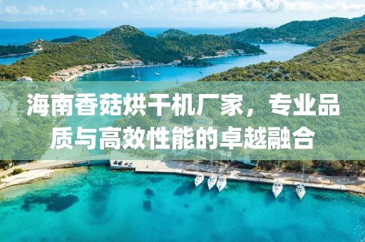 海南香菇烘干机厂家，专业品质与高效性能的卓越融合