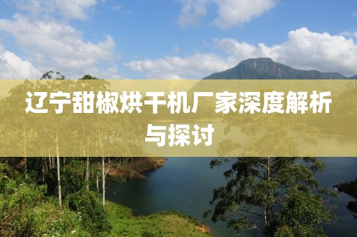 辽宁甜椒烘干机厂家深度解析与探讨